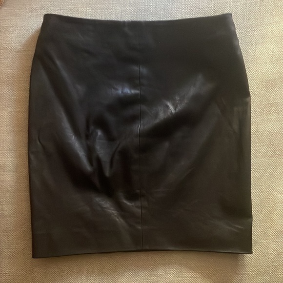 The Row Leather Skirt - Picture 6 of 7